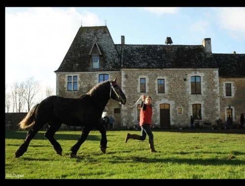 Un concours percheron…