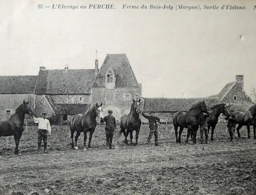 Un ancien lieu d&rsquo;élevage…