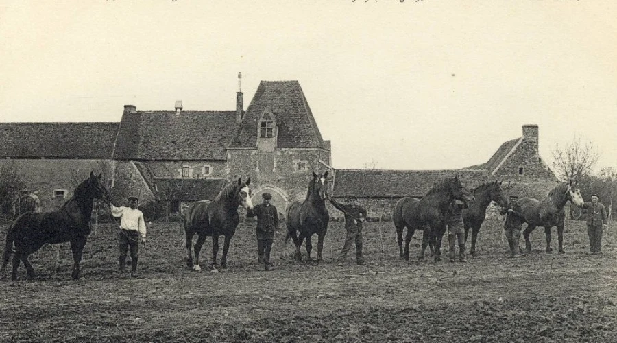 Une incroyable histoire percheronne…