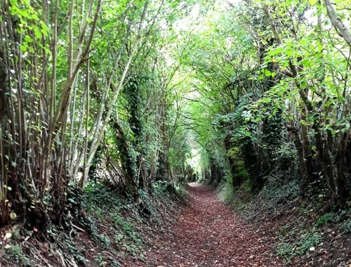 Randonnées à pieds…